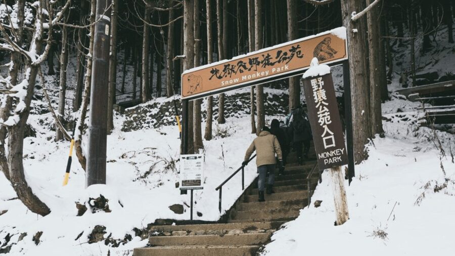 From Tokyo: Private Tour Snow Monkey Park & Zenko-ji Temple - How flexible is the private format?
