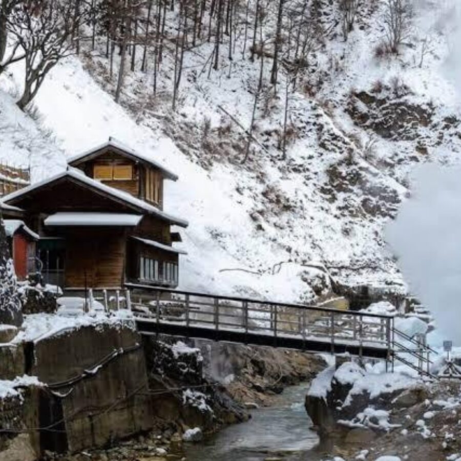 From Tokyo: Private Tour Snow Monkey Park & Zenko-ji Temple - Comfort, vehicle choice, and what to bring