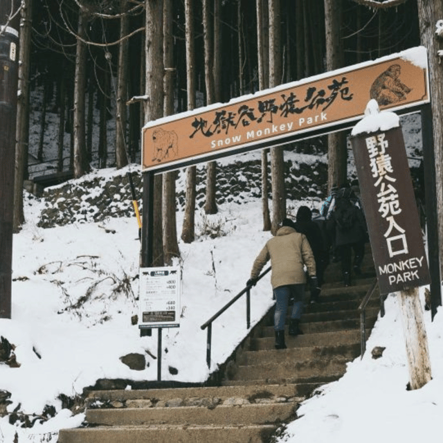 From Tokyo: Snow Monkey Park & Zenko-ji Temple Private Tour - Key points before you reserve