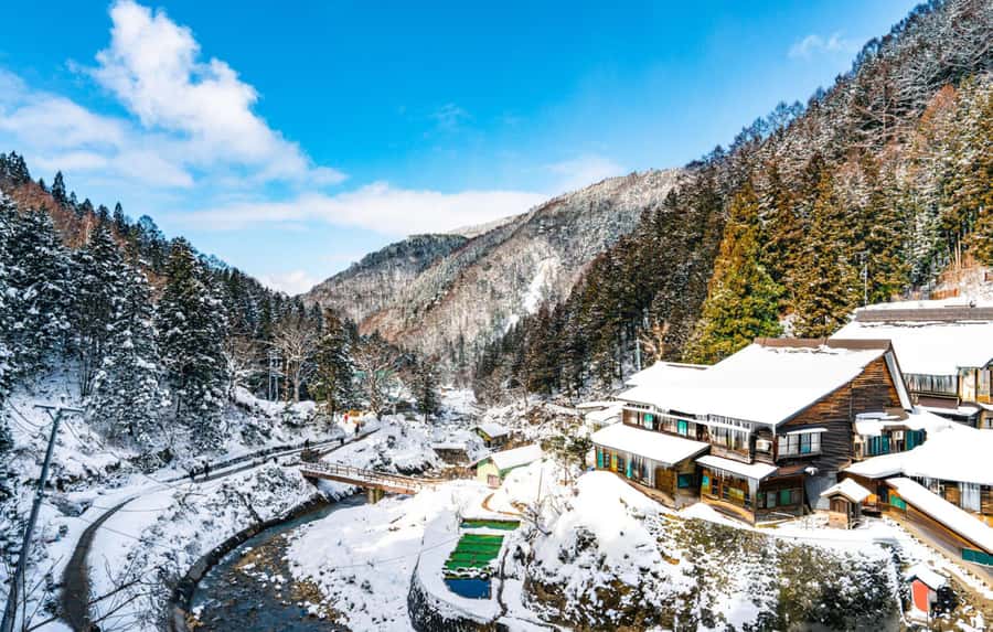 From Tokyo: Snow Monkeys and Zenkoji Temple Day Trip - What the $515 group price really means