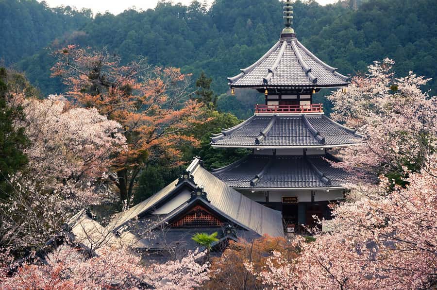 Fukuoka: Beppu Hells HotSpring, Frog Temple & Yufuin DayTrip - Beppu’s boiling pools and the blue Sea Hell