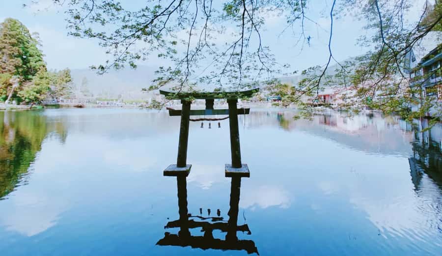Fukuoka: Beppu Hells HotSpring, Frog Temple & Yufuin DayTrip - Lake Kinrin and the misty side of Yufuin