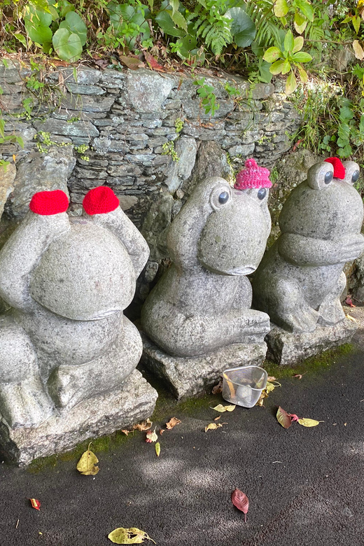 Fukuoka: Nanzoin Temple and Reclining Buddha Guided Tour - Is $65 a fair price for Nanzoin?