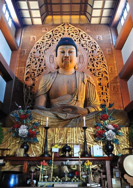 Fukuoka’s Sacred Path: Temples, History & Culture - Why this Fukuoka walk works so well