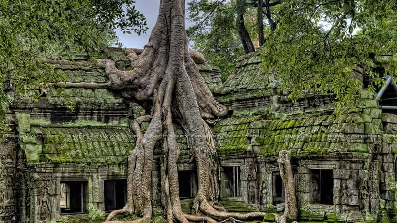 Full-Day Angkor Wat Sunrise and Sunset Private Tour - Baphuon, the terraces, and the royal center