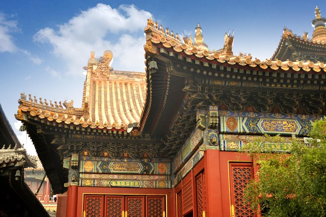 Full-Day Beijing City Tour: Hutongs, Lama Temple and Panda House - Pandas first, with a short look at Beijing Zoo