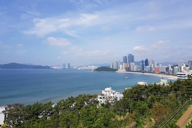 Full Day Busan Tour Including Haedong Yonggungsa Temple - The quick facts that matter