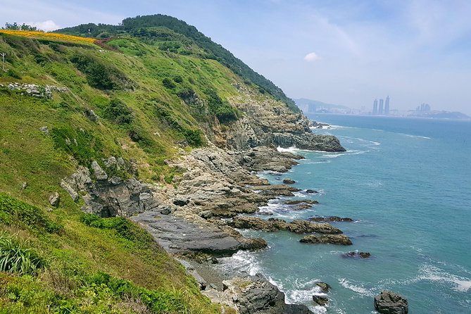 Full Day Busan Tour Including Haedong Yonggungsa Temple - Dalmaji-gil begins the day above the beaches