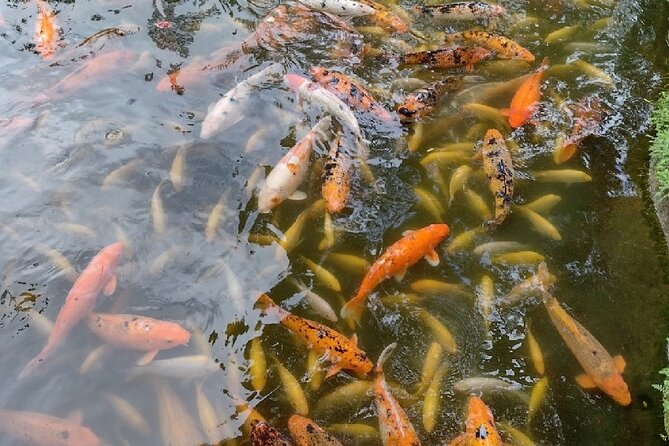 Full Day Oahu Tour with Byodo Temple & Waimea Waterfalls - The walk to Waimea Falls