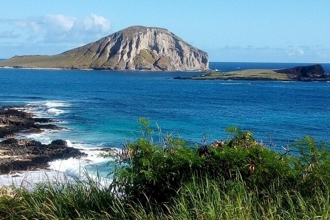 Full Day Oahu Tour with Byodo Temple & Waimea Waterfalls - Dole Plantation and the final sweet stop