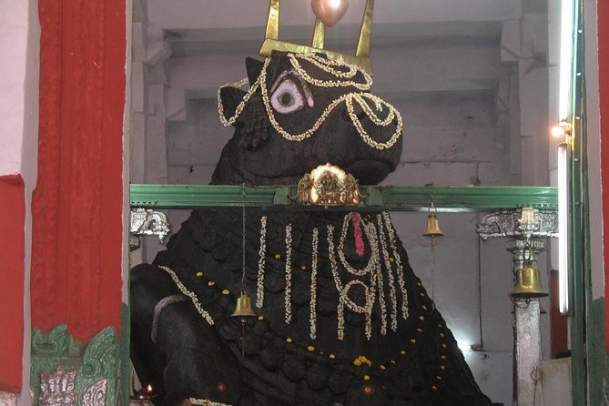 Full Day Private Tour of Temples of Bengaluru - What the private format adds
