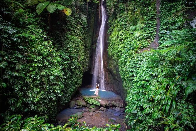 Full-Day Tour to Water Temples and UNESCO Rice Terraces in Bali - Why private transport makes sense in Bali
