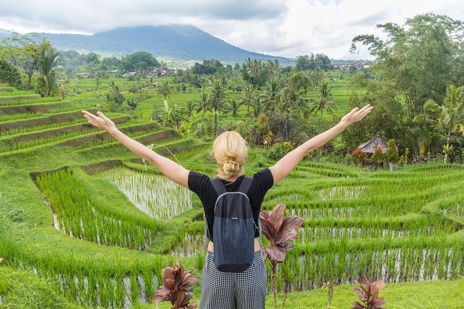 Full-Day Tour to Water Temples and UNESCO Rice Terraces in Bali - Who should book this day trip