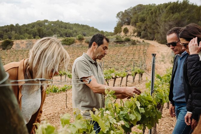 Full-Day Trip Barcelona to Montserrat Monastery & Cava Winery - Practical advice for making the day easier