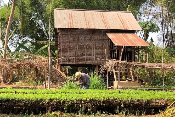 Full-day: Wat Banan. Old bamboo train. Bat Cave. Killing cave - What the guides add to the day