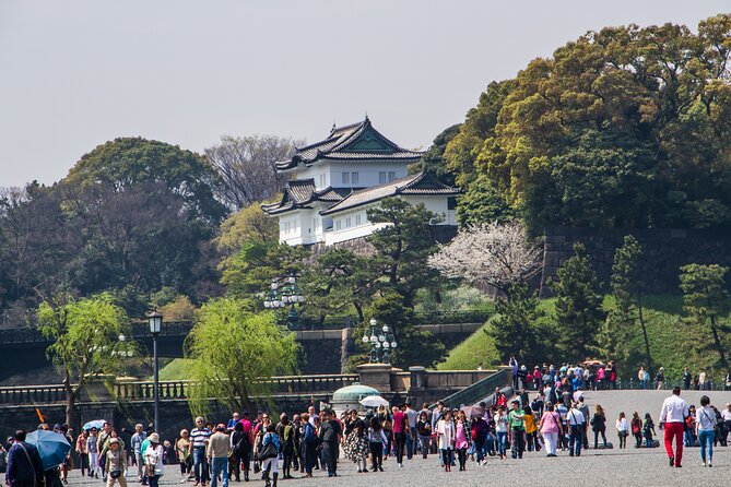 Full Tokyo: Meiji Shrine, Imperial Palace, Asakusa & Skytree - One day, six faces of Tokyo