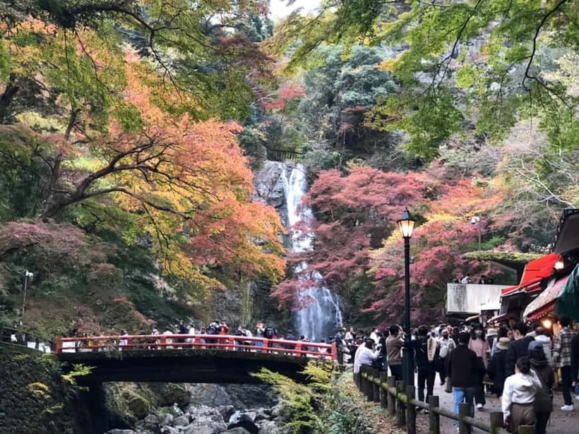 Get to know Minoo from Osaka. Katsuoji Temple, Ryuanji Waterfall and Ryuanji Temple - Why Katsuoji makes this day trip special