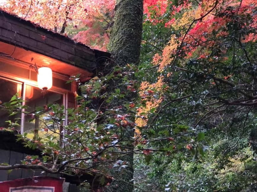 Get to know Minoo from Osaka. Katsuoji Temple, Ryuanji Waterfall and Ryuanji Temple - Practical preparation for the six-hour outing