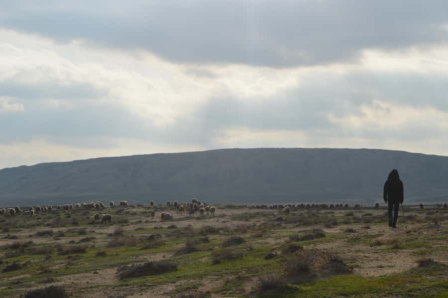 Gobustan, Mud Volcano, Burning Land and Fire Temple Tour - Mud volcanoes and the odd pleasure of bubbling earth