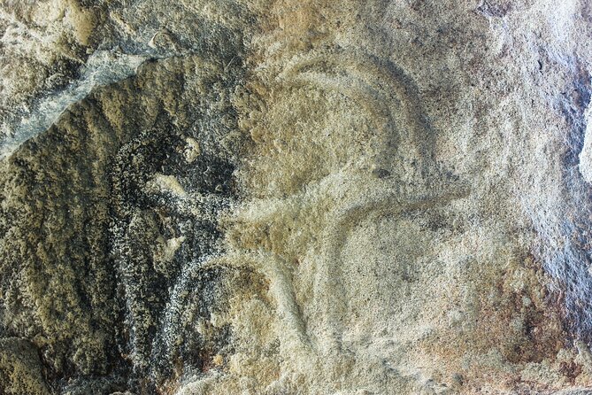 Gobustan, Mud volcanoes, Fire temple, Fire mountain PRIVATE TOUR - Who should book this experience