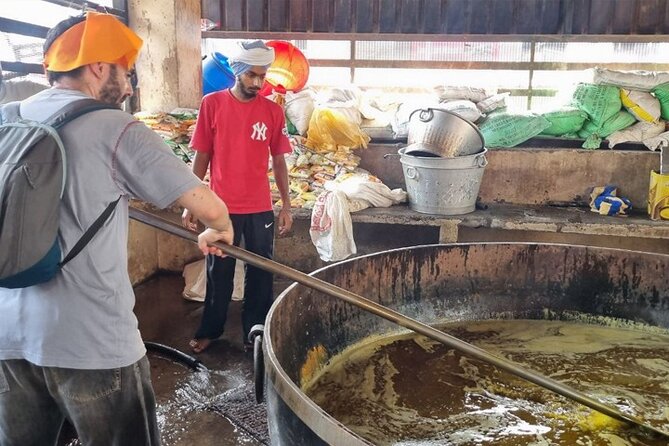 Golden Temple and Jallianwala Bagh Guided Tour - Dukh Bhanjani Ber shows the role of sacred water