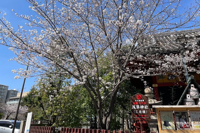Goshuin Collecting tour at Asakusa Local Temples & Shrines, Tokyo - Sensoji, Asakusa Shrine, and Nakamise-dori