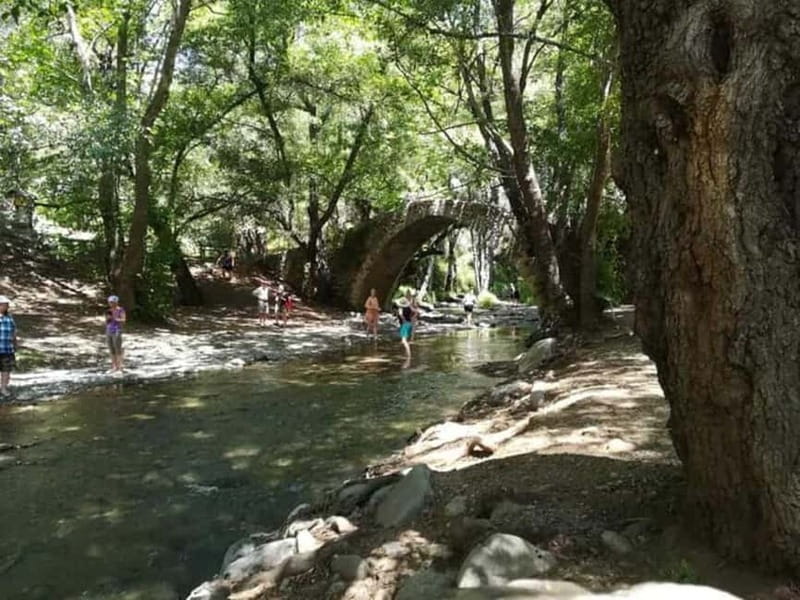 Guided Safari Tour Troodos Mountains and Kykkos Monastery - A Venetian bridge in the Troodos woods