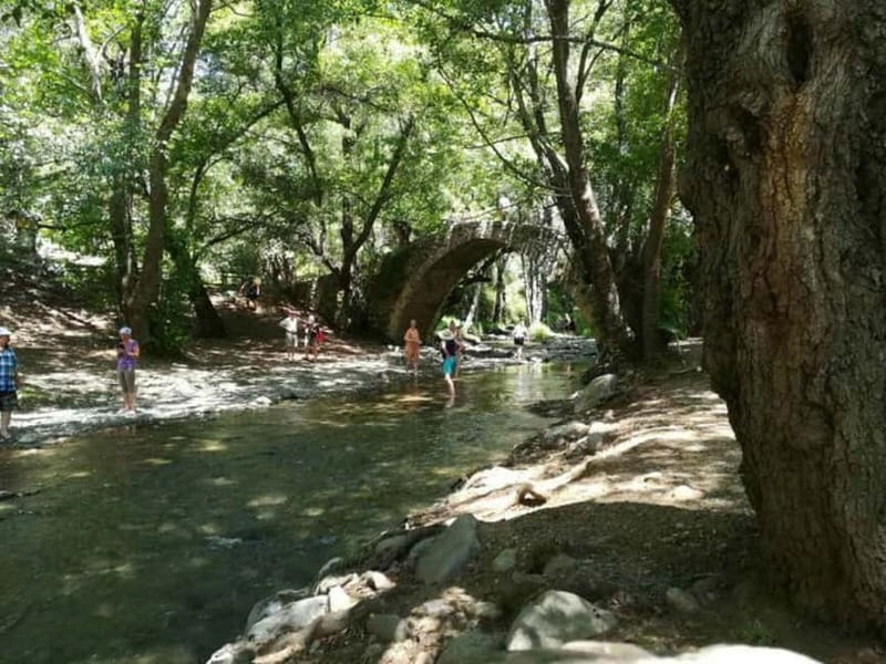 Guided Safari Tour Troodos Mountains and Kykkos Monastery - What the 4x4 ride is really like