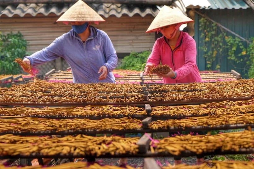 Ha Noi: Perfume pagoda or Incense Village w Guide Pick up - Key points to know before you book