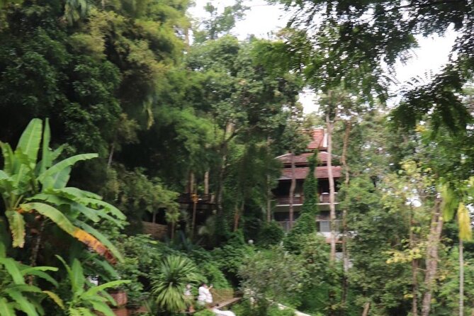 Half Day Morning Wat Pha Lat & Wat Phra That Doi Suthep Tour - The morning pickup and ride into the hills