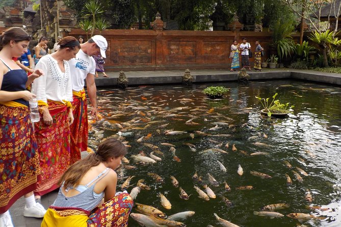 Half-Day Ubud Electric Cycling Tour to Tirta Empul Water Temple - Why an e-bike makes sense around Ubud