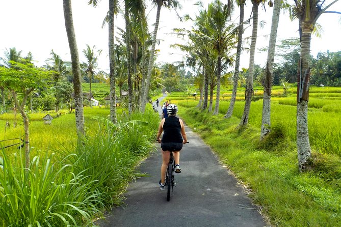 Half-Day Ubud Electric Cycling Tour to Tirta Empul Water Temple - Pedaling through rice fields and village life