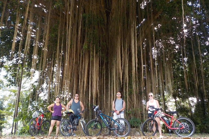 Half-Day Ubud Electric Cycling Tour to Tirta Empul Water Temple - What the $49 price really covers