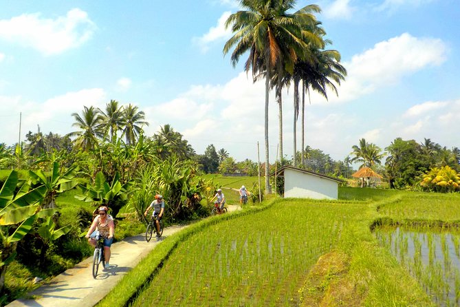 Half-Day Ubud Electric Cycling Tour to Tirta Empul Water Temple - Who should book this Ubud outing?