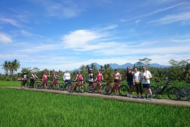 Half-Day Ubud Electric Cycling Tour to Tirta Empul Water Temple - Starting at 8:00 am near Ubud