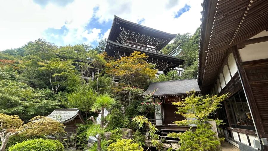 Hiroshima & Miyajima 6.5h Guided Tour – Dome, Park & Shrine - Returning to the city and facing the Atomic Bomb Dome