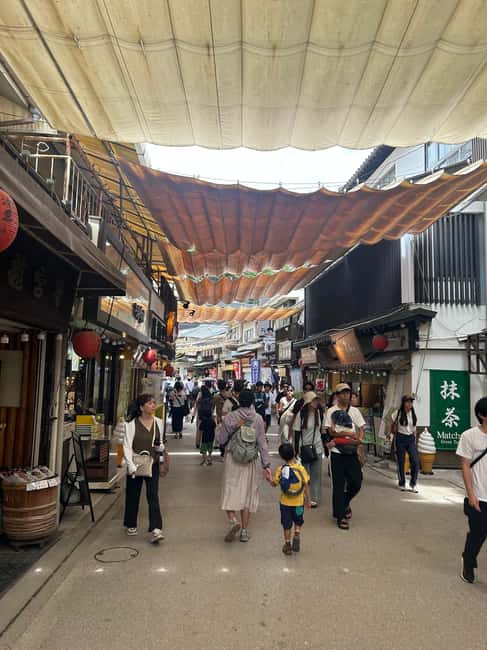 Hiroshima & Miyajima 6.5h Guided Tour – Dome, Park & Shrine - Peace Memorial Park and its monuments