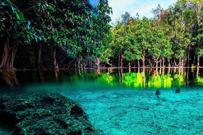 Jungle Tour to Emerald Pool, Krabi Hot Spring and Tiger Cave Temple - What this Krabi day actually feels like