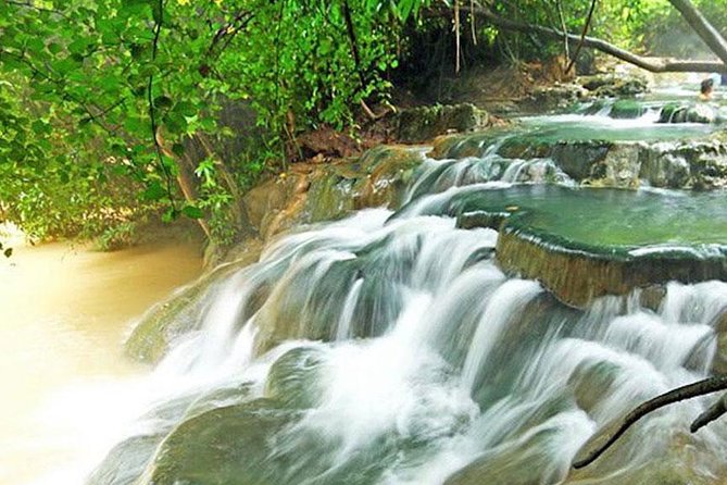 Jungle Tour to Emerald Pool, Krabi Hot Spring and Tiger Cave Temple - How good is the guide service?