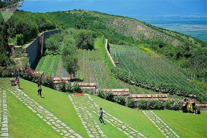 Kakheti: Signagi, Bodbe Monastery, Telavi, Wine Tour. Private tour - Badiauri’s bread, cheese, and churchkhela
