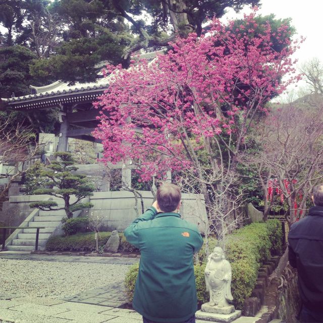 Kamakura: Great Buddha, Hase Temple, & Komachi Street Tour - Lunch with local choices