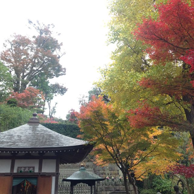Kamakura: Great Buddha, Hase Temple, & Komachi Street Tour - Hokokuji Bamboo Forest as an optional change