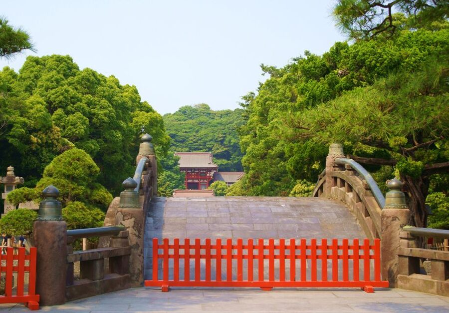 Kamakura: Great Buddha, Hase Temple, & Komachi Street Tour - Komachi Street for gifts and a flexible finish