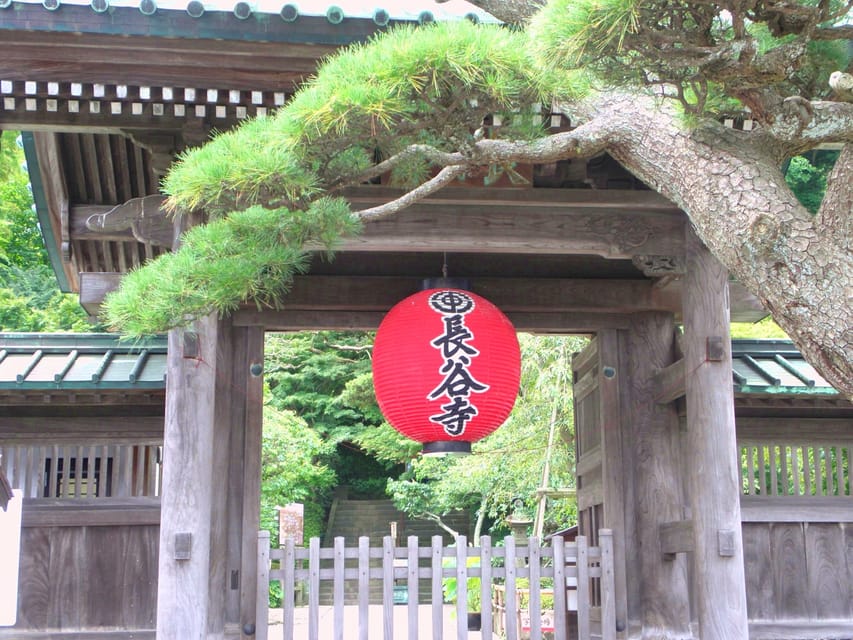 Kamakura Temples Private Guided Tour from Tokyo - The private guide makes the biggest difference
