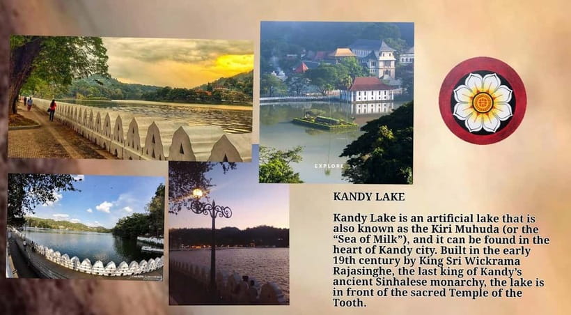 Kandy: City Tour with Temple of the Tooth & Tea Garden - Why this Kandy day feels different