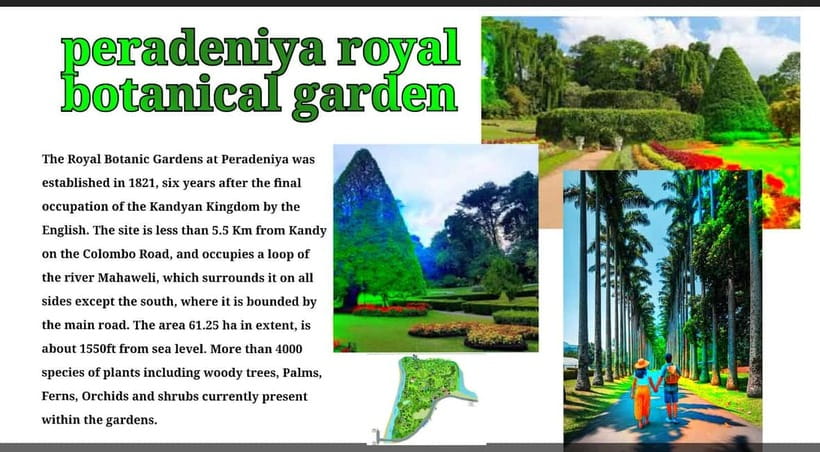 Kandy: City Tour with Temple of the Tooth & Tea Garden - Starting in Kandy by tuk-tuk