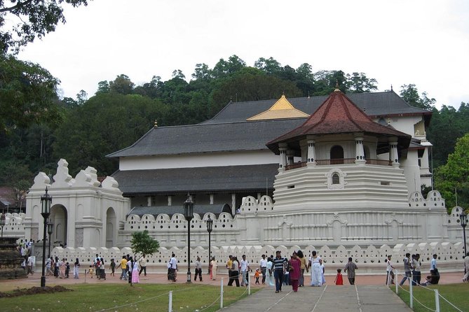 Kandy Day Trip with Tooth Relic Temple & Unique Attractions - A full day from Bentota to Kandy