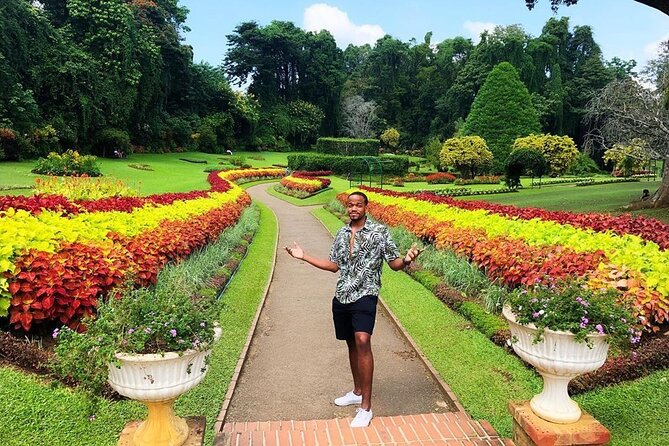 Kandy Day Trip with Tooth Relic Temple & Unique Attractions - What the private format really gives you