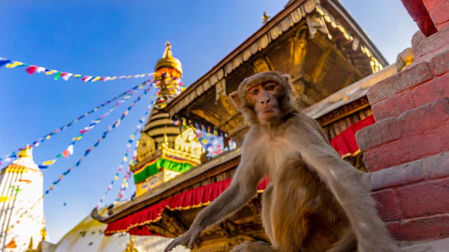 Kathmandu: Chandragiri Cable Car and Monkey Temple Tour - Why this makes a smart first day in Kathmandu