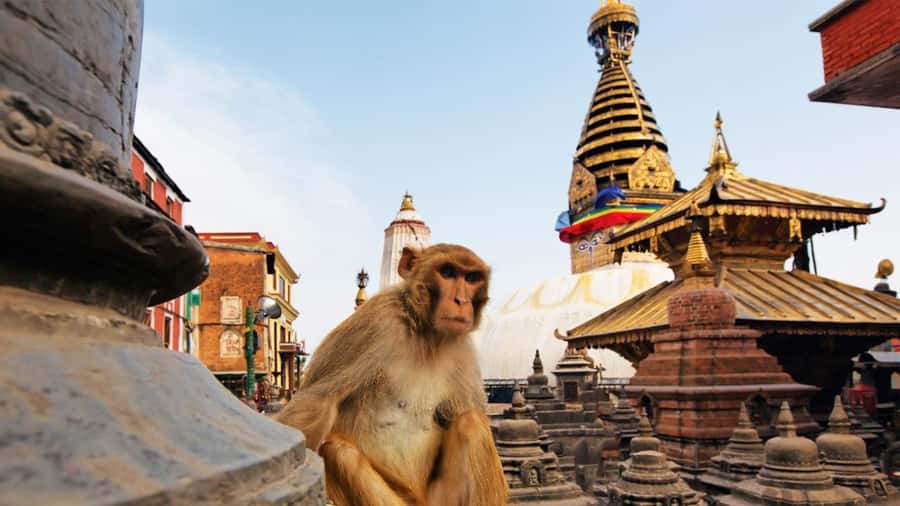 Kathmandu: Chandragiri Cable Car and Monkey Temple Tour - Momos with a view